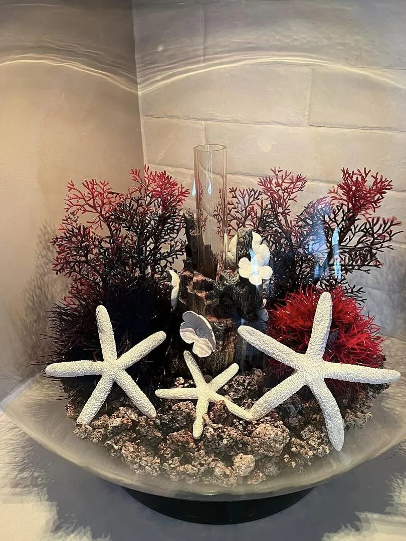 biOrb Classic 30 akvarium 30 liter svart standardljus