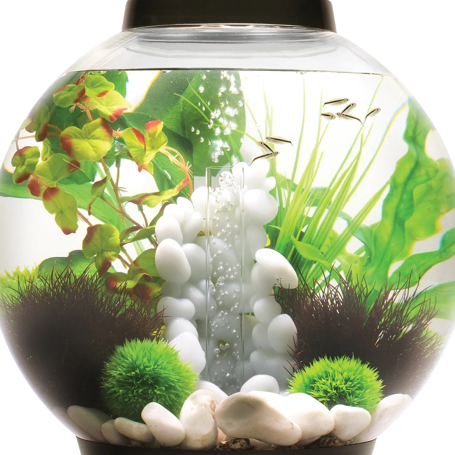 biOrb Medium Green sidenväxt akvarieväxtset grön 30 cm