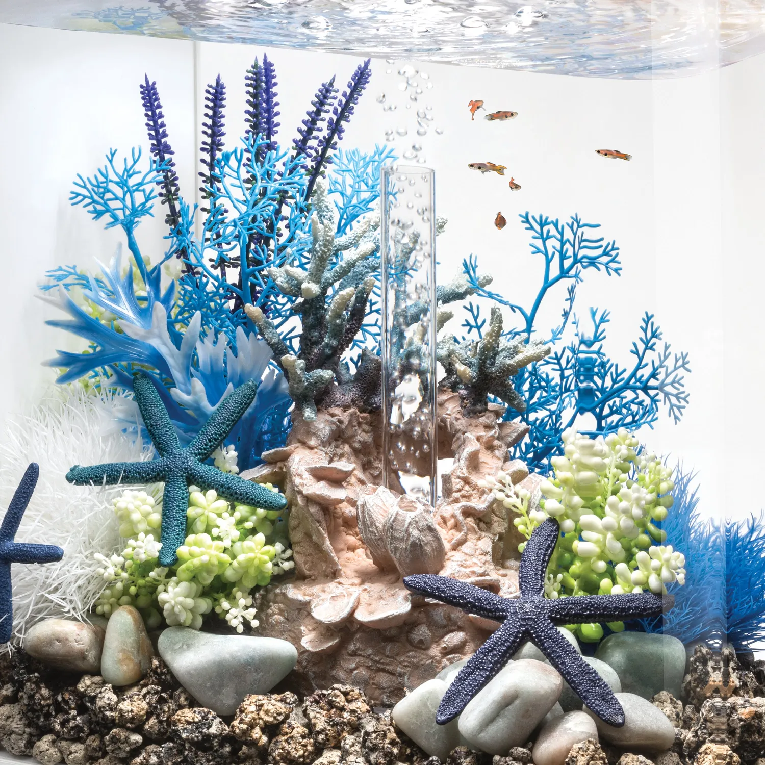 biOrb Medium Blue & Purple Plant Set akvarievisualisering