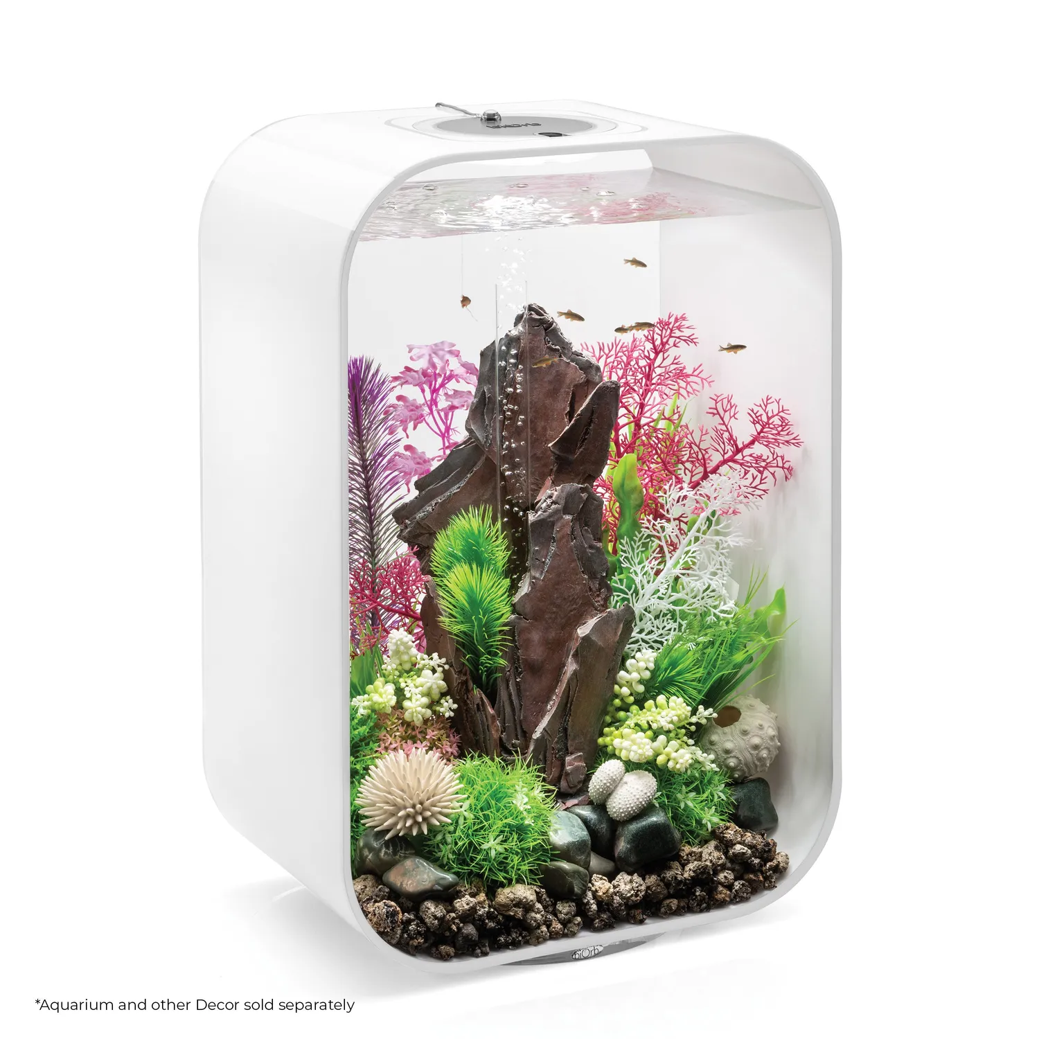 biOrb Medium Kelp växtset lila rosa 30cm