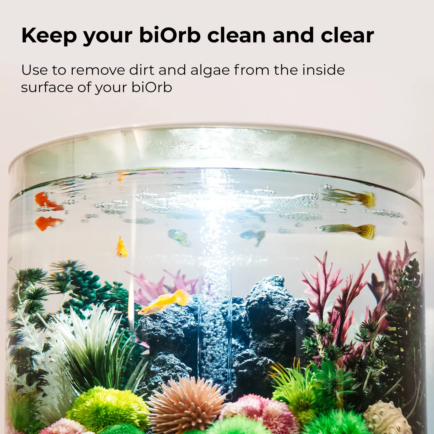 biOrb Cleaning Pads rengöringsdynor akryl 3-pack