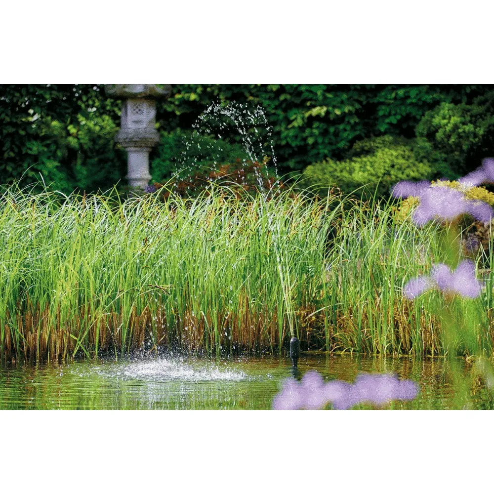 Näsets Ciklidhobby Aquarius Fountain Set Classic 2000 E
