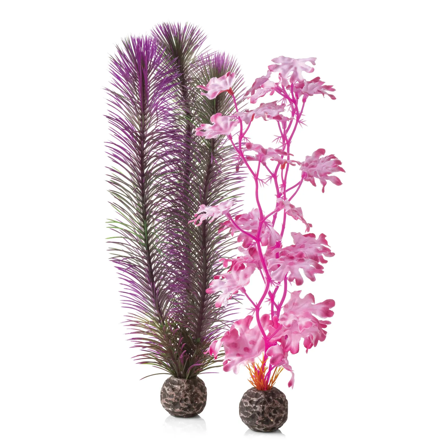 biOrb Medium Kelp växtset lila rosa 30cm