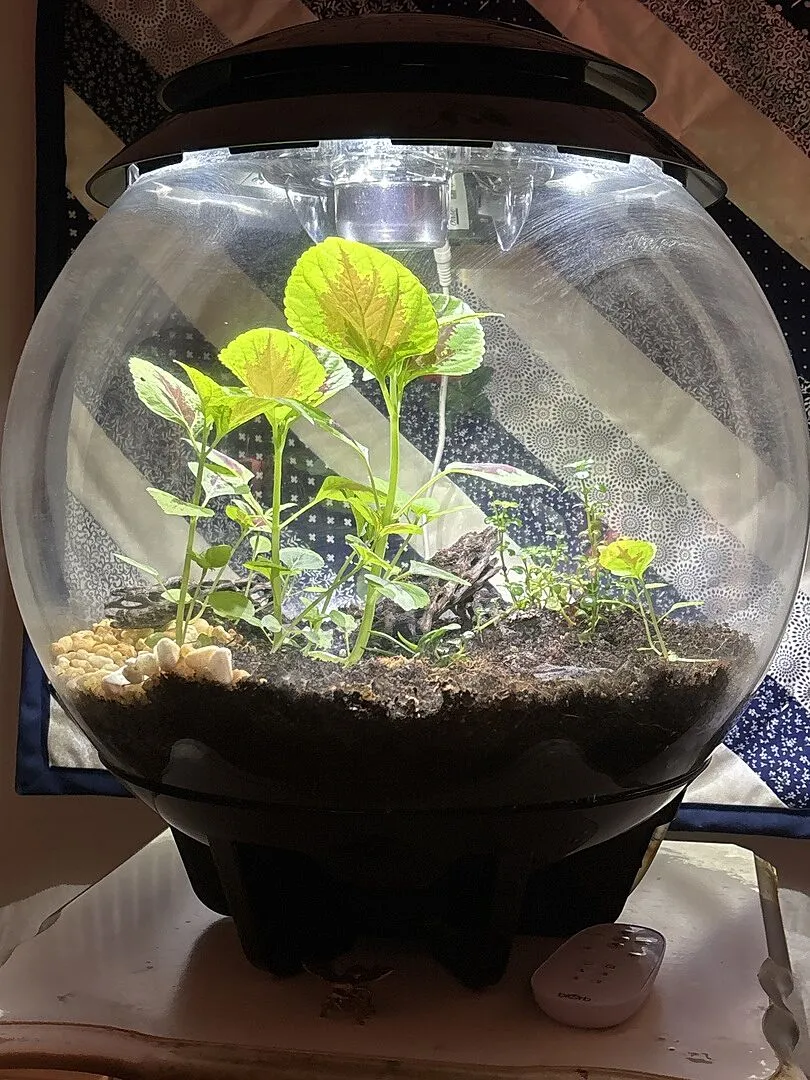 biOrb Air 30 filterpatron luftfilter terrarium