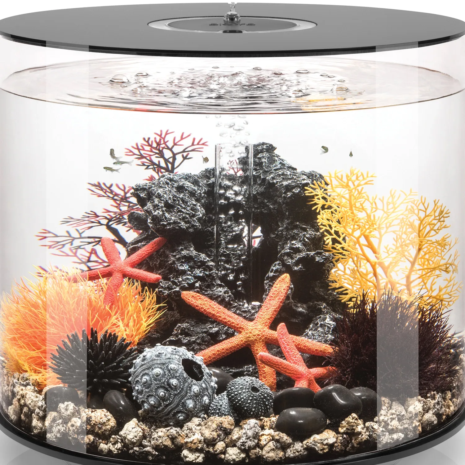 biOrb Small Sea Fan akvarieväxt orange 200 mm