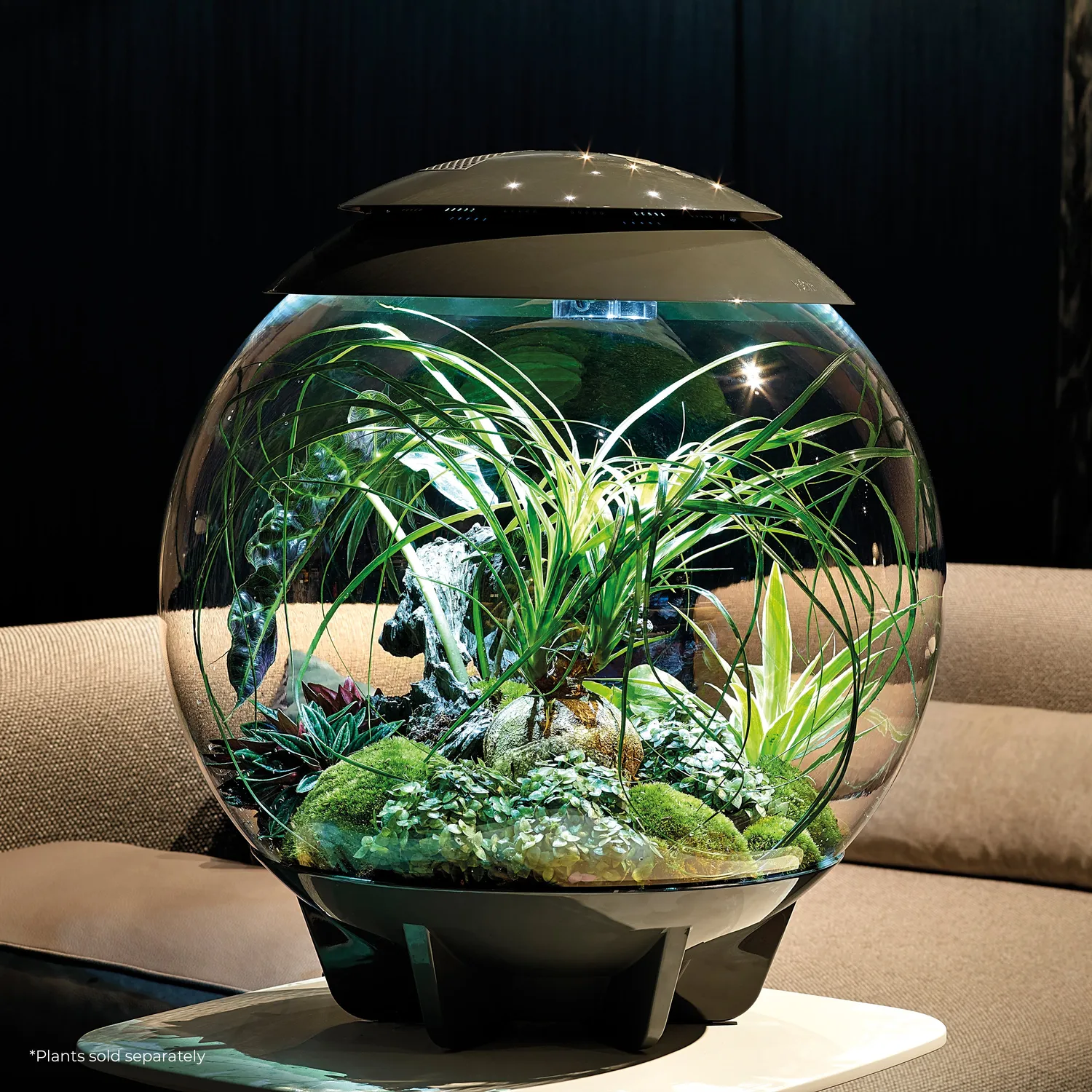 biOrb Air 60 terrarium 60 liter grå automatisk dimma