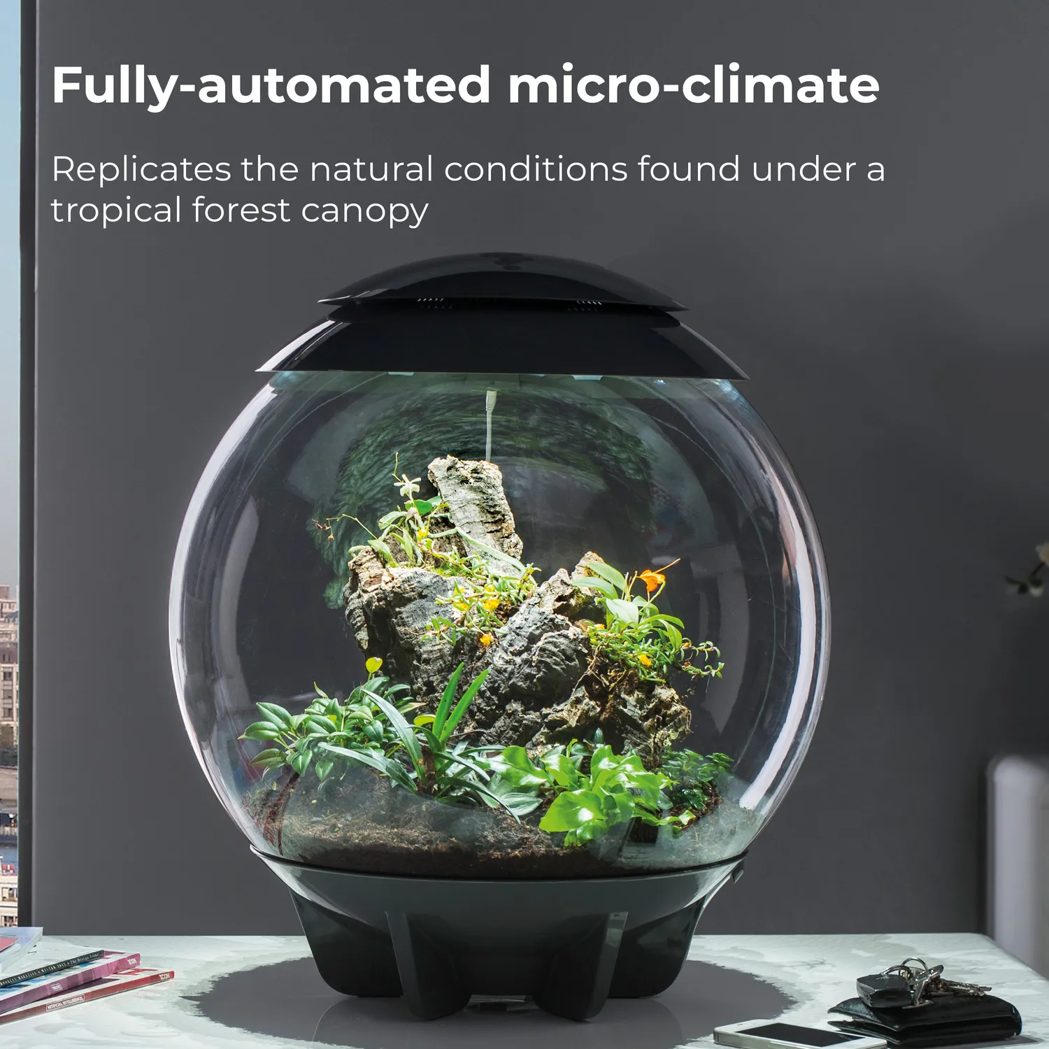 biOrb Air 60 terrarium 60 liter grå automatisk dimma