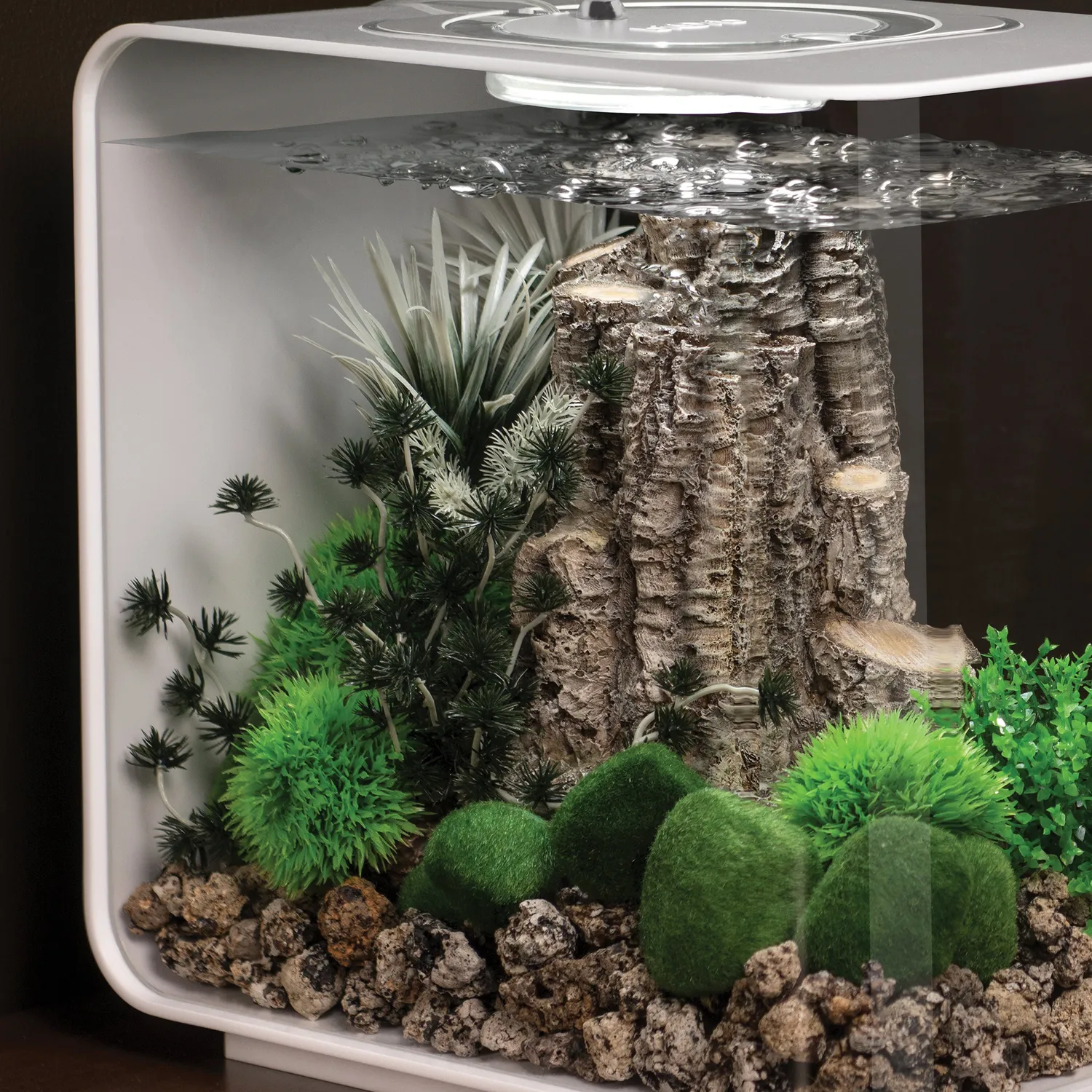 biOrb Small Ambulia växtset plast 20 cm