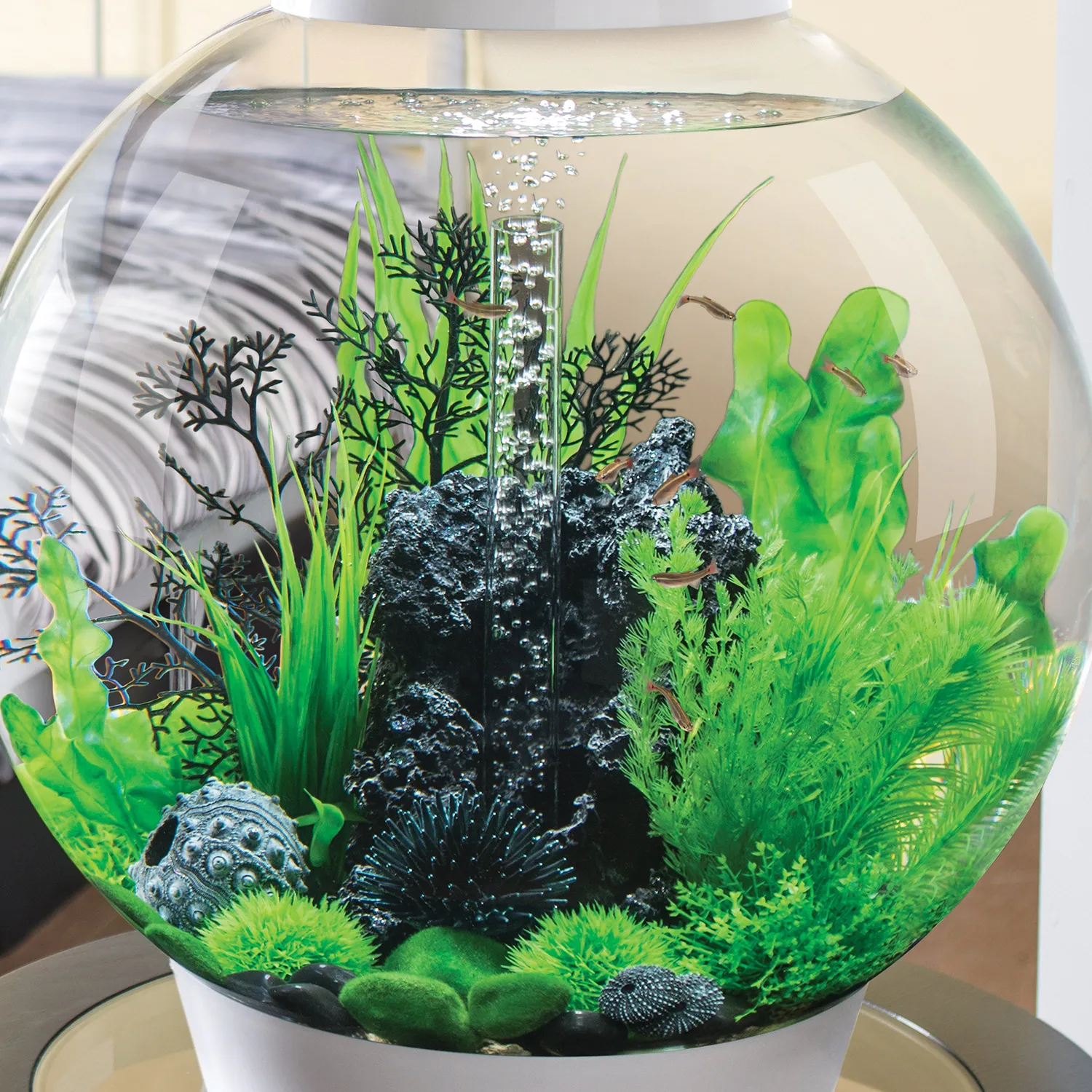 biOrb Small Green Plant Set akvarieväxter grön 2-pack