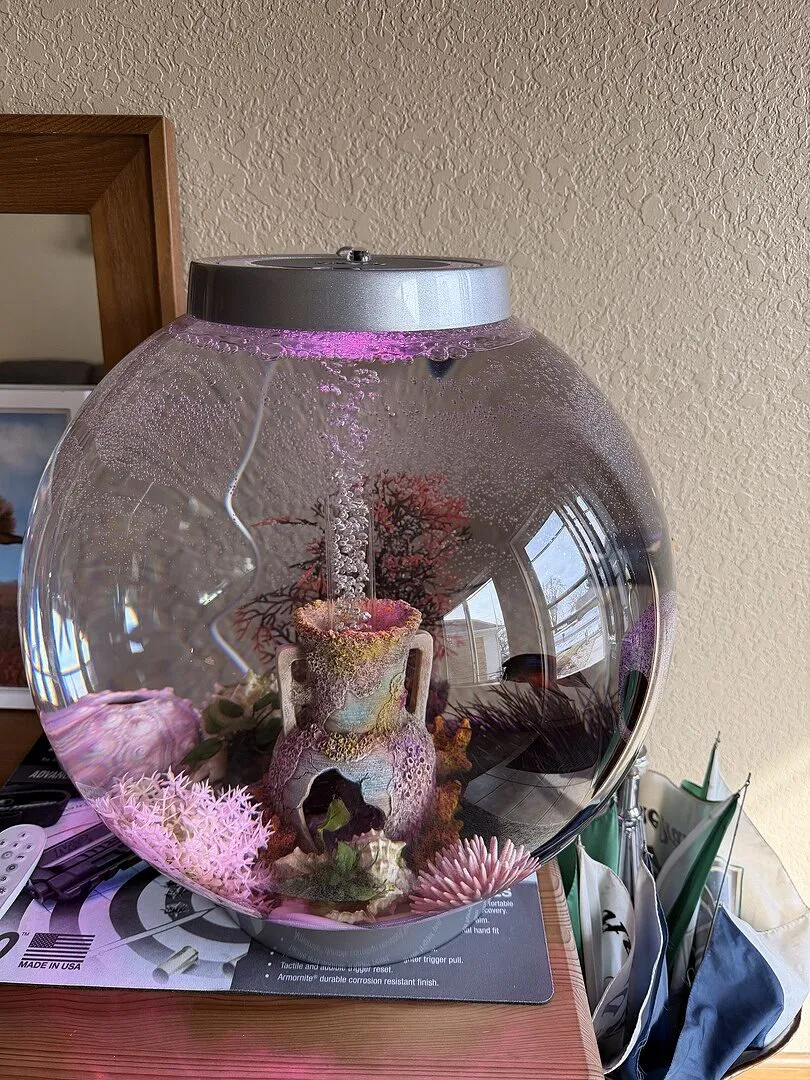 biOrb Classic 30 akvarium 30 liter MCR-ljus