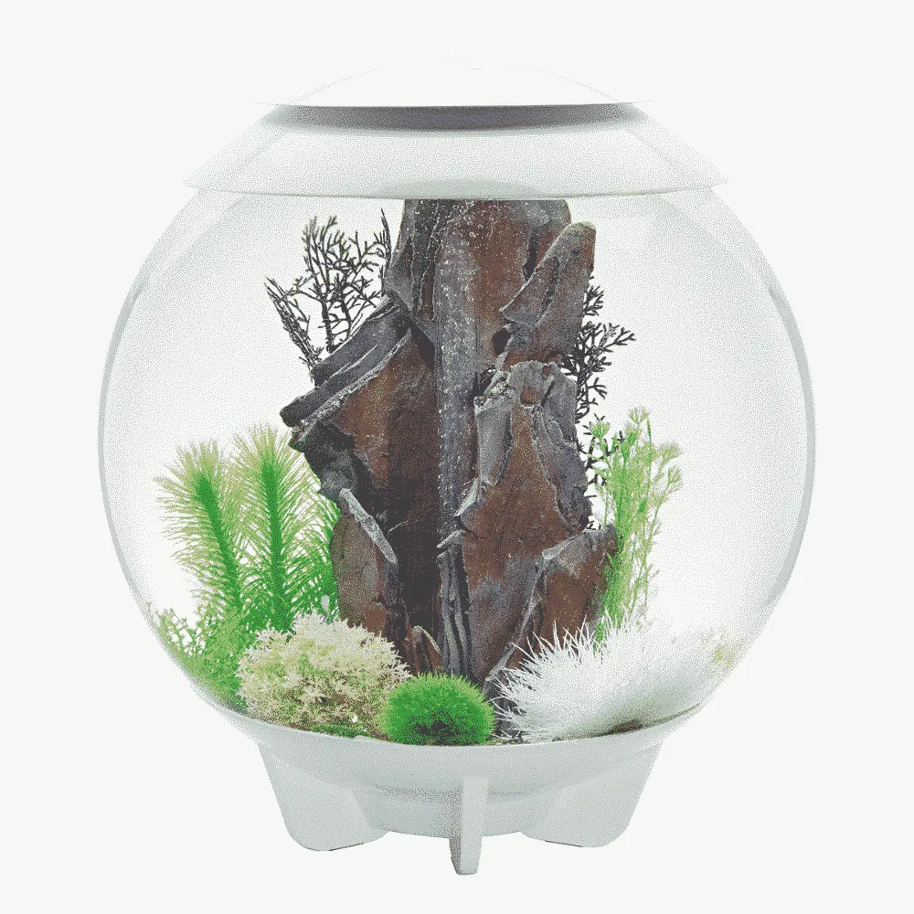 biOrb HALO 60 MCR akvarium 60 liter vit flerfärgsljus