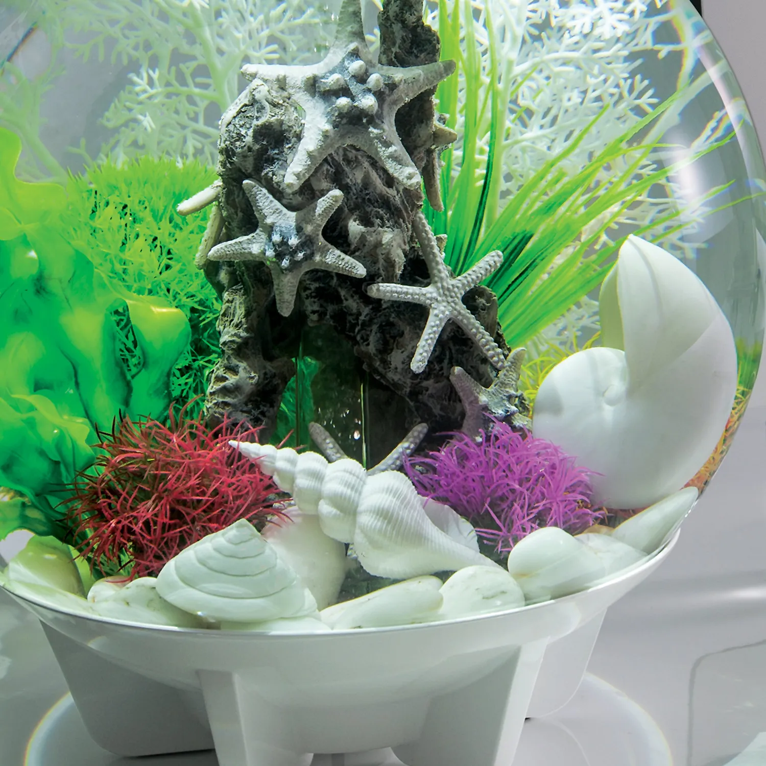 biOrb Color Ball akvarieväxter 3-pack multifärg