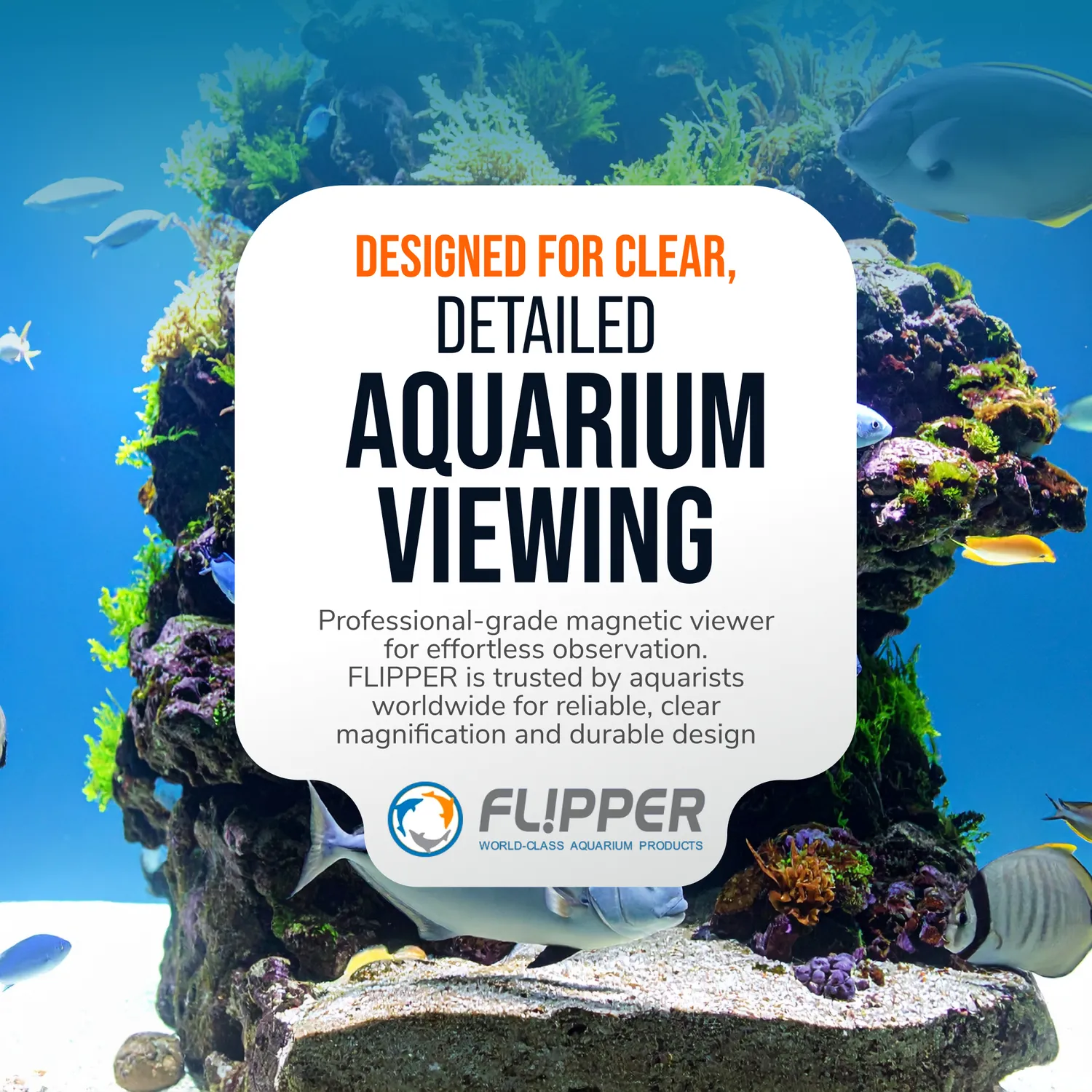 DeepSee Viewer Nano 3" akvarieviewer svart liten