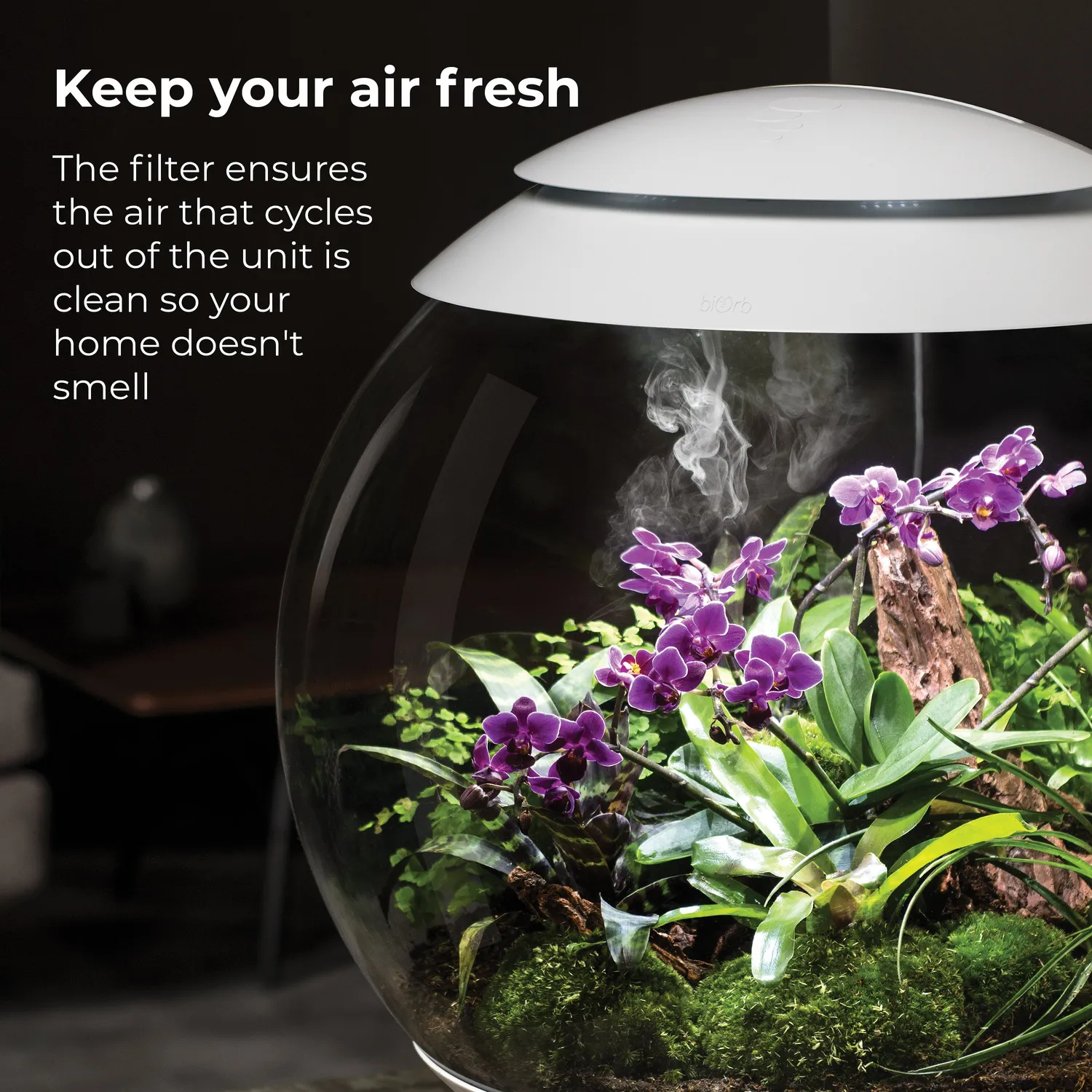 biOrb AIR 60 Air Filter Cartridge filterpatron kol