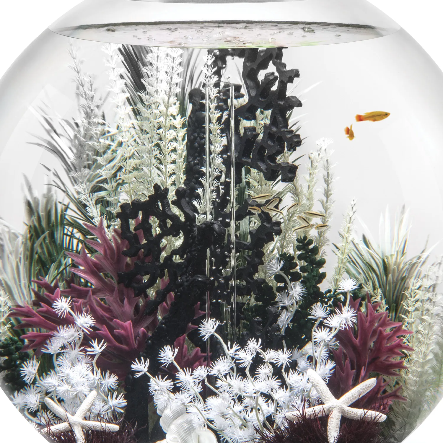 biOrb Large Ambulia växt akvariedekoration 154 mm