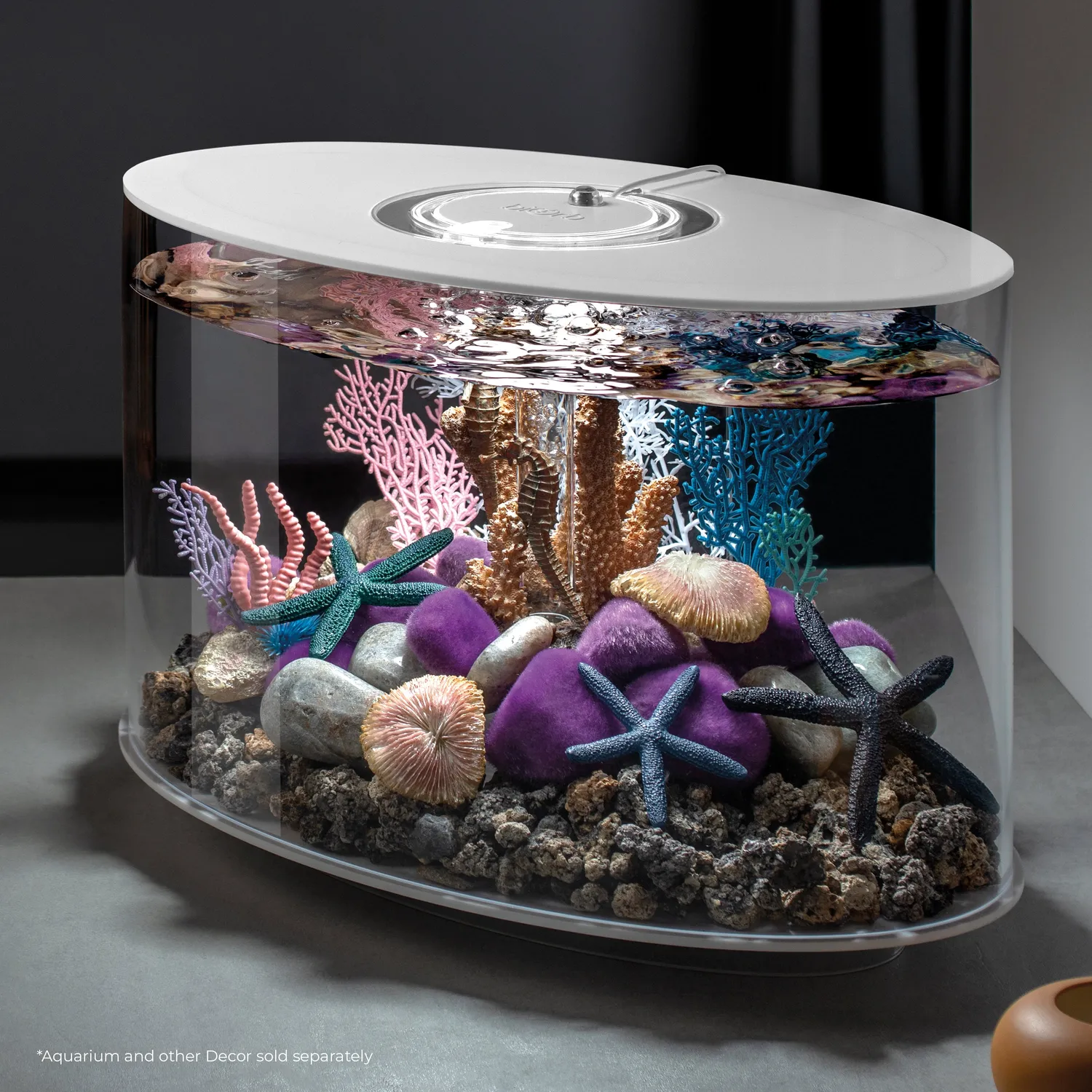 biOrb Starfish Set akvariedekoration 3-pack sjöstjärnor