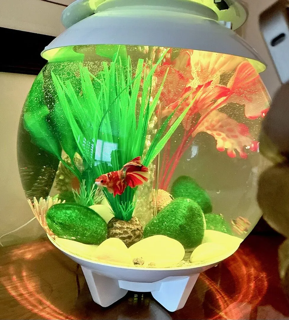 biOrb HALO 15 akvarium 15 liter med MCR-belysning grå