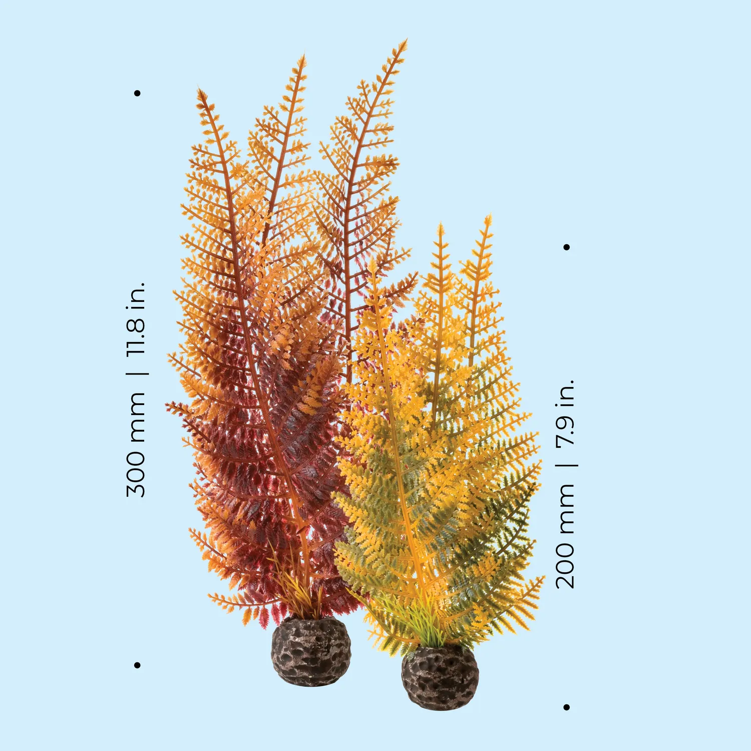 biOrb Fern Plant Set akvarieväxt flerfärgad 2-delar