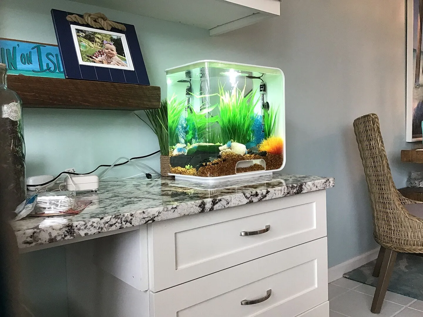 biOrb Flow 30 akvarium 30 liter svart standardljus