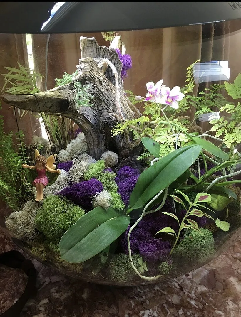 biOrb Air 60 terrarium 60 liter grå automatisk dimma
