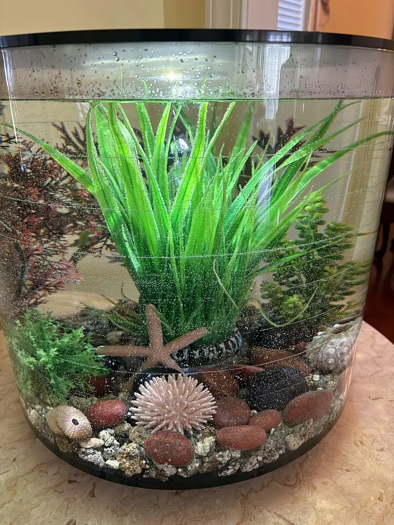 biOrb Sea Urchin akvariedekoration 3-pack natural