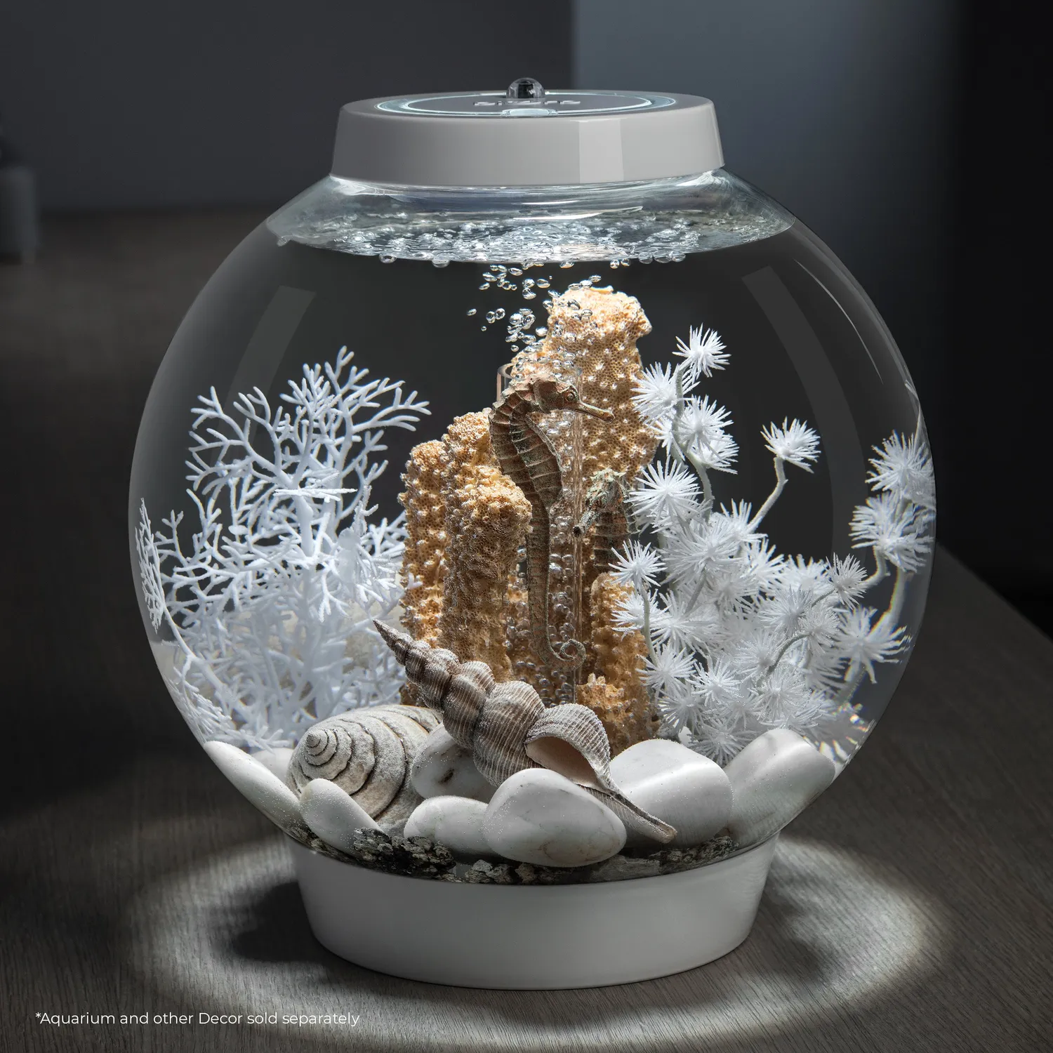 biOrb Seashell Set akvariedekoration natur 3-pack