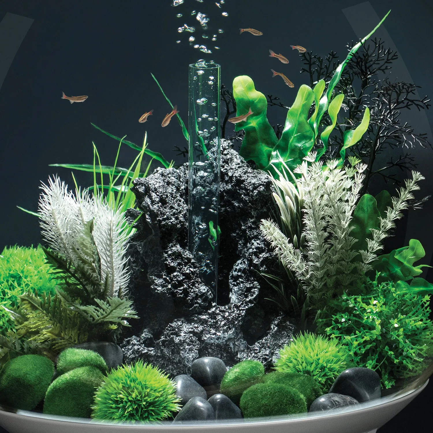 biOrb Small Thistle Fern Plant Set akvarieväxt 20 cm