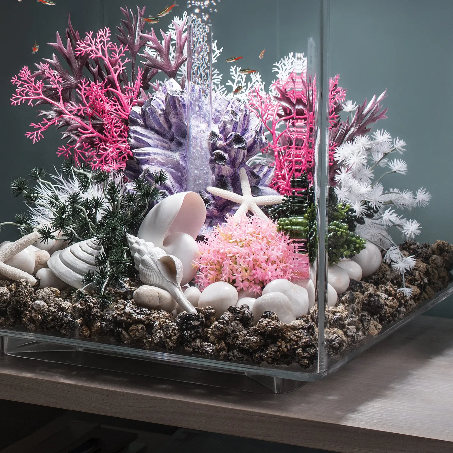 biOrb Seashell Set akvariedekoration natur 3-pack