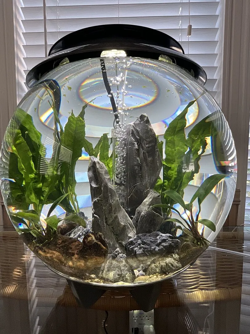 biOrb HALO 30 akvarium 30 liter MCR-ljus grå