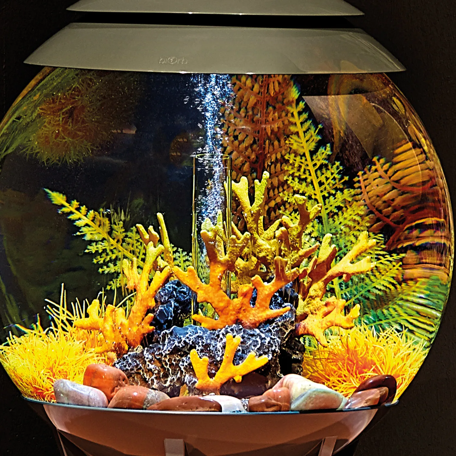 biOrb Fern Plant Set akvarieväxt flerfärgad 2-delar