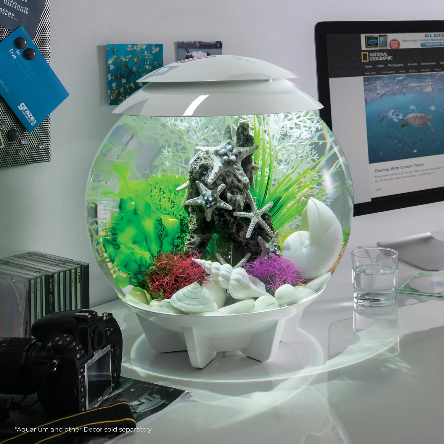 biOrb Color Ball akvarieväxter 3-pack multifärg
