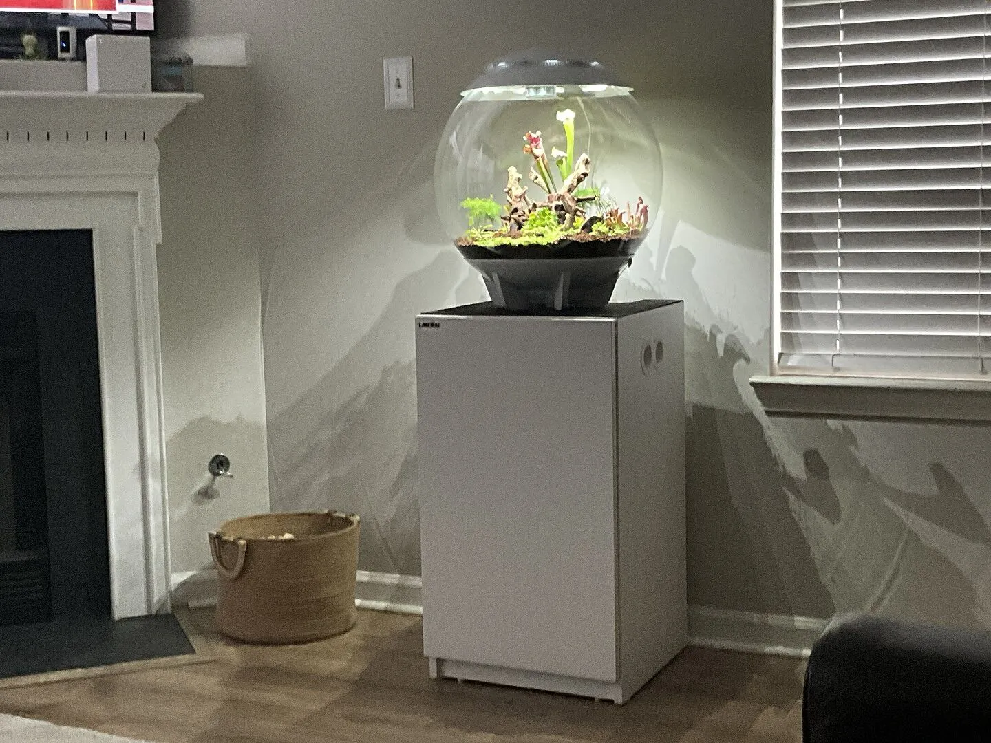 biOrb Air 60 terrarium 60 liter grå automatisk dimma
