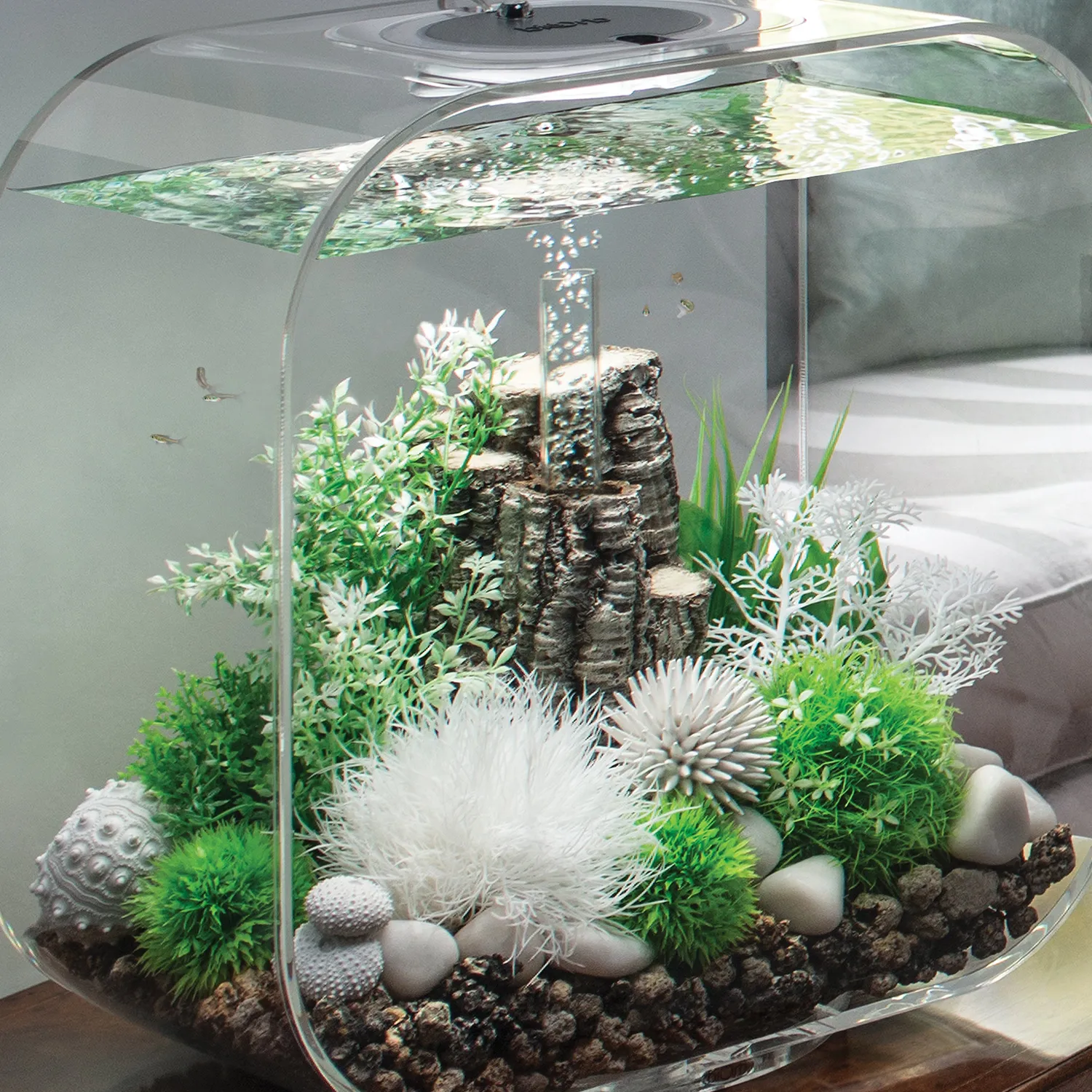 biOrb Winter Flower Plant Set akvarieväxt grön 2-delar