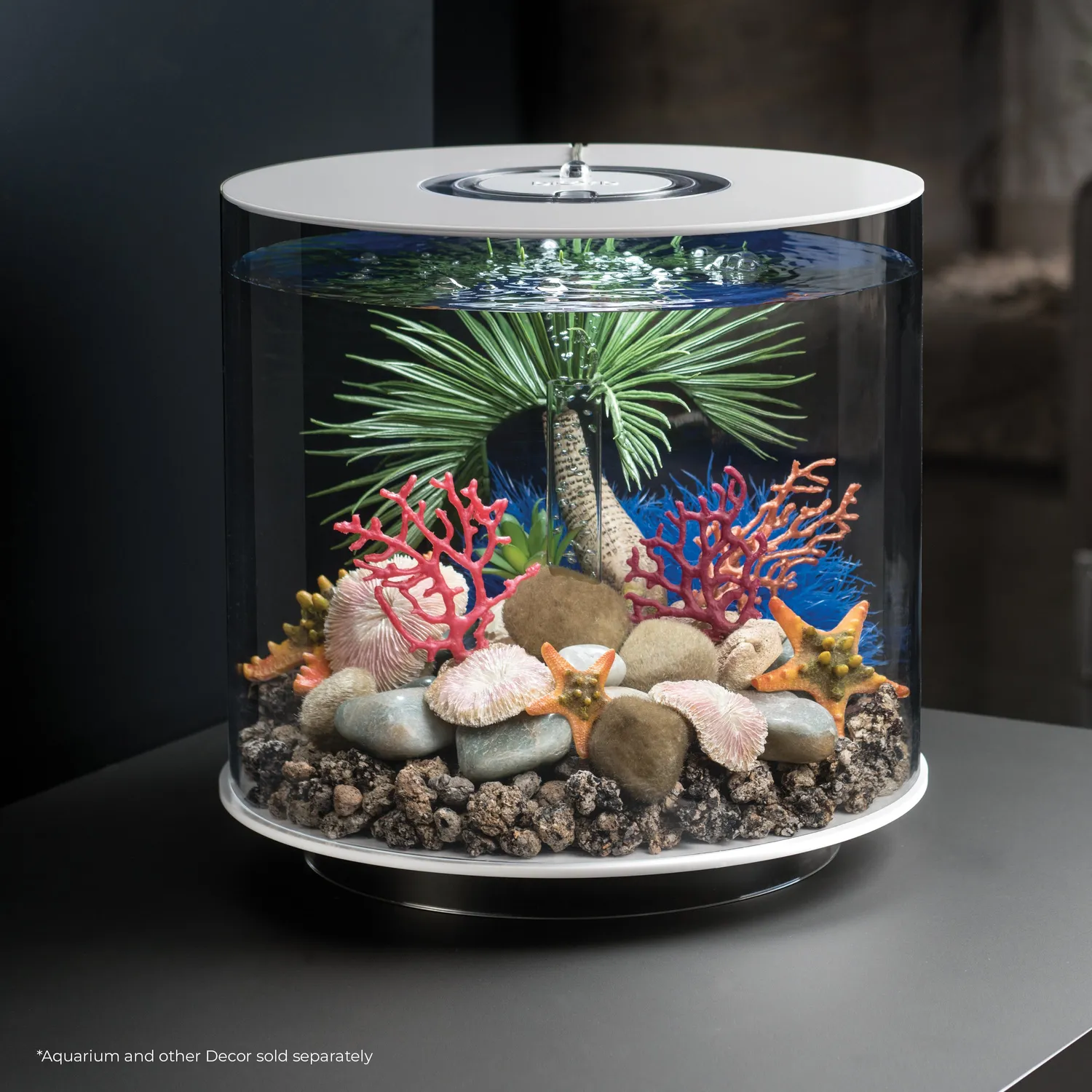 biOrb Plate Coral Set dekoration Natural 3-delar