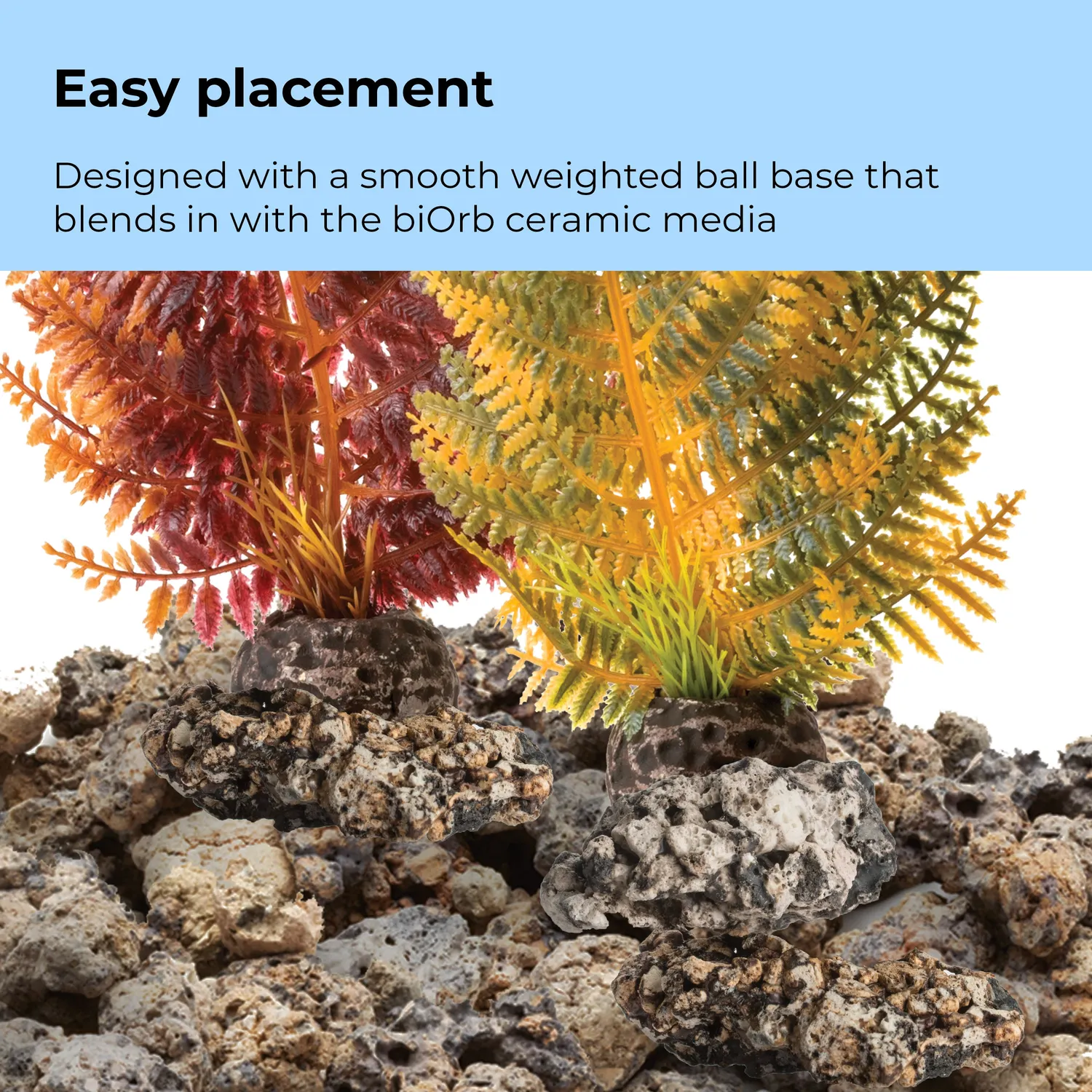biOrb Fern Plant Set akvarieväxt flerfärgad 2-delar