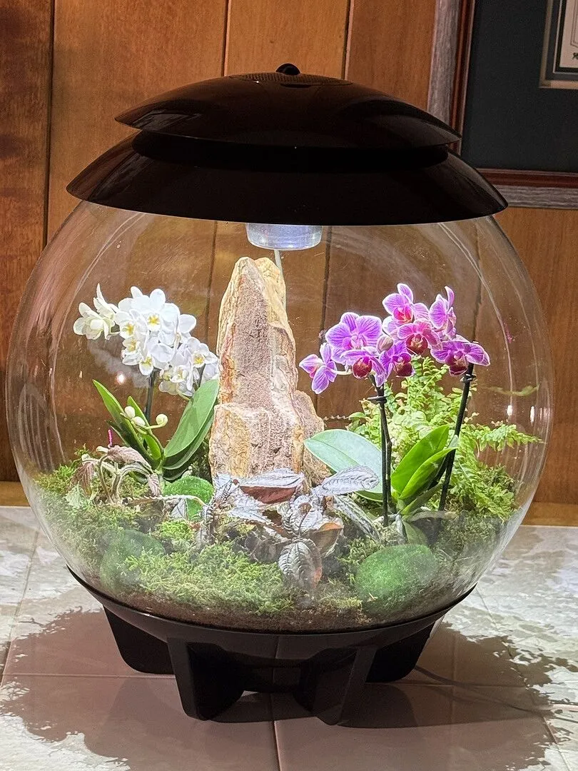 biOrb Humidimist dimvatten 5 liter AIR EARTH
