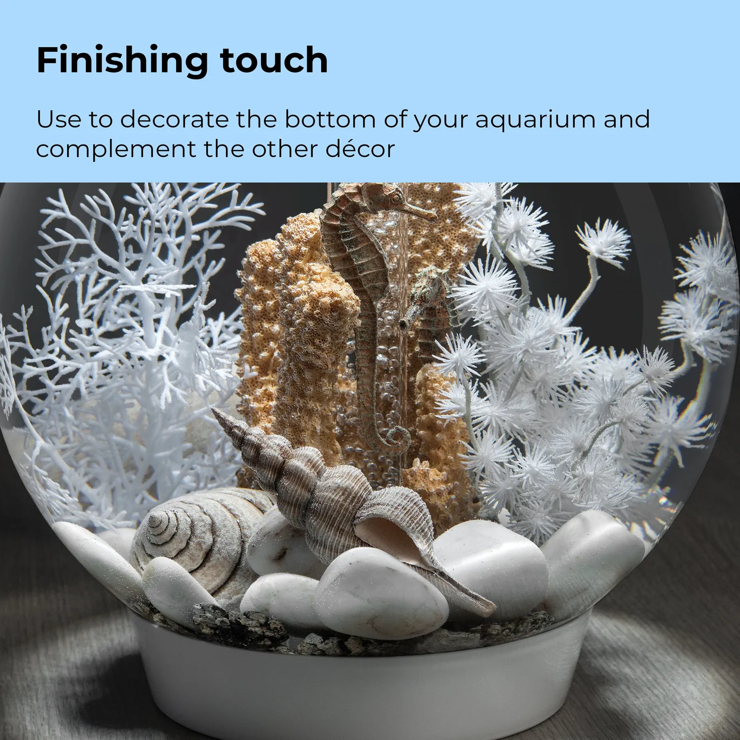 biOrb Seashell Set akvariedekoration natur 3-pack