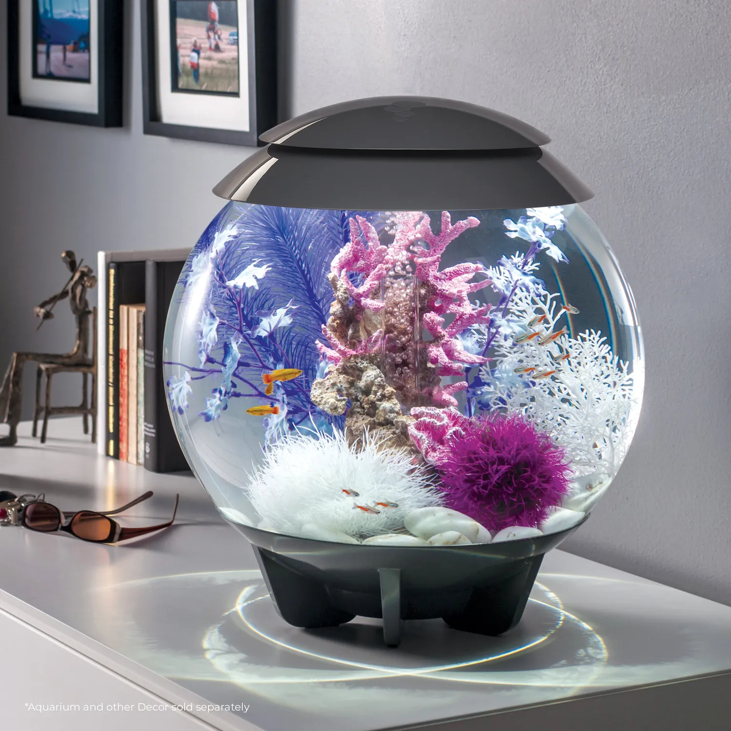 biOrb Medium Kelp växtset lila rosa 30cm