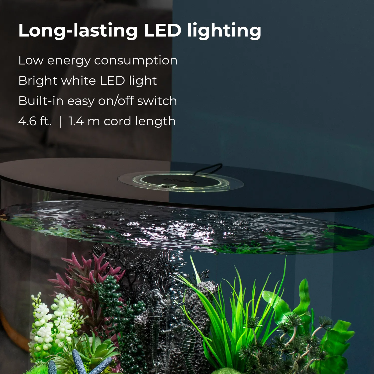 biOrb LOOP 30 akvarium 30 liter standardljus