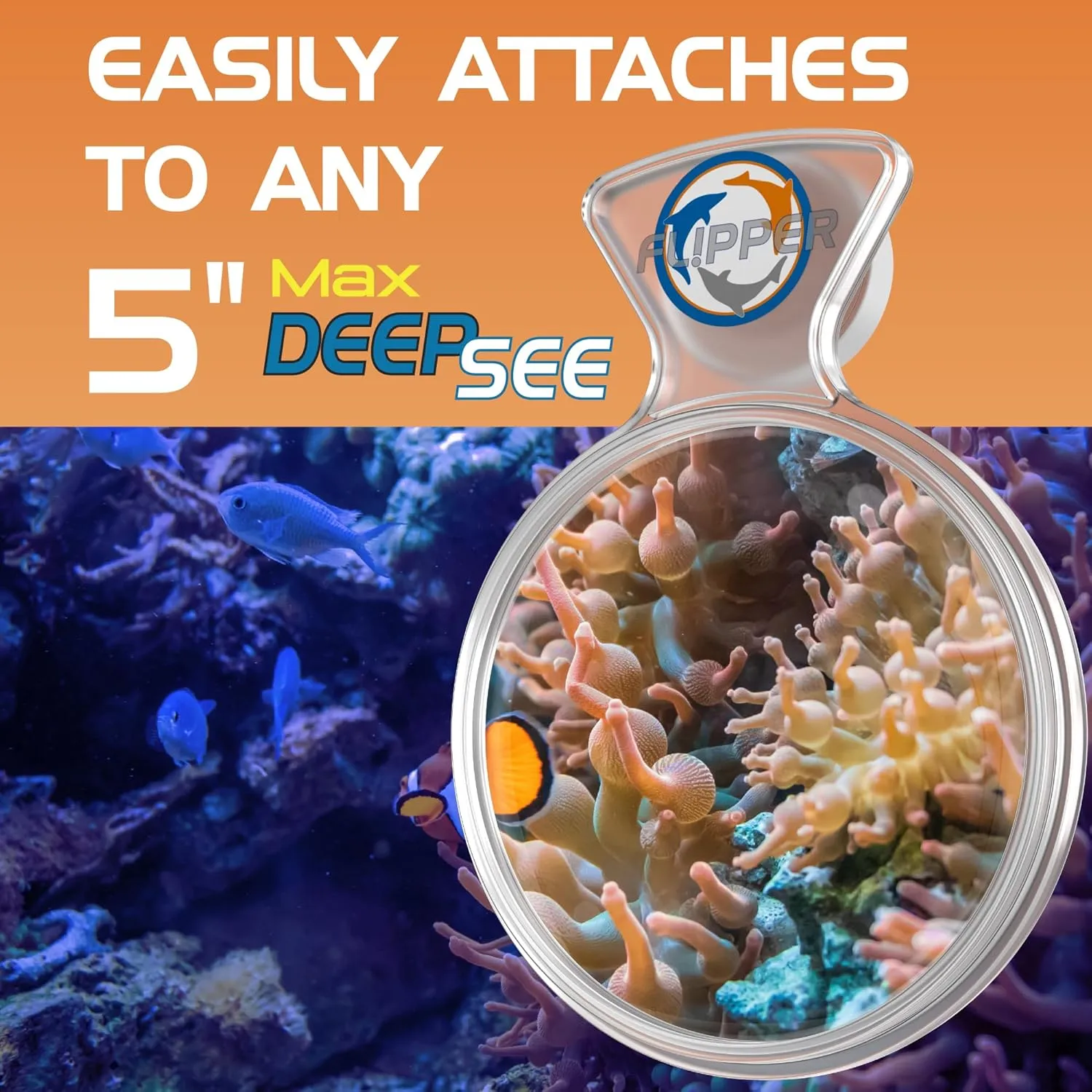 DeepSee Clear Max 5 viewer orangefilter korallins