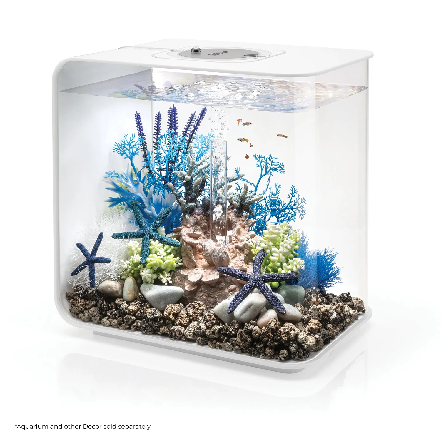 biOrb Medium Blue & Purple Plant Set akvarievisualisering