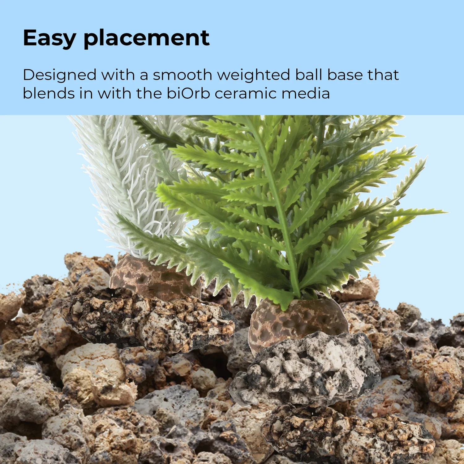 biOrb Small Thistle Fern Plant Set akvarieväxt 20 cm