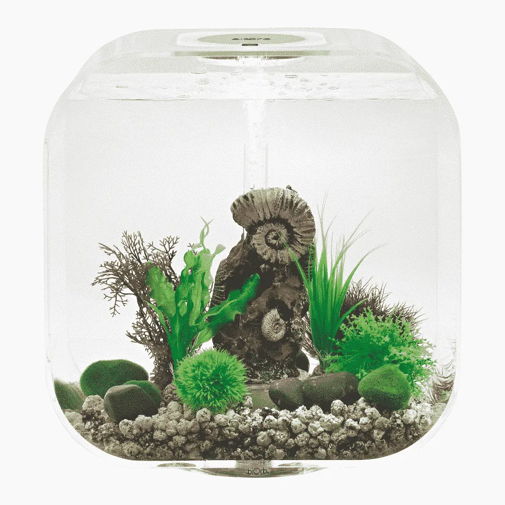 biOrb LIFE 30 MCR akvarium 30 liter transparent