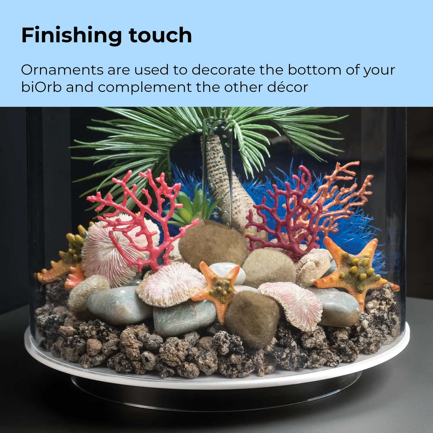 biOrb Plate Coral Set dekoration Natural 3-delar