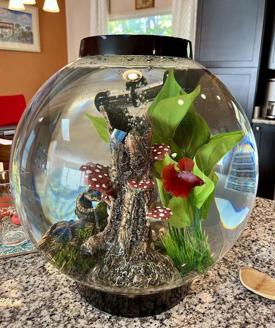 biOrb Classic 30 akvarium 30 liter svart standardljus