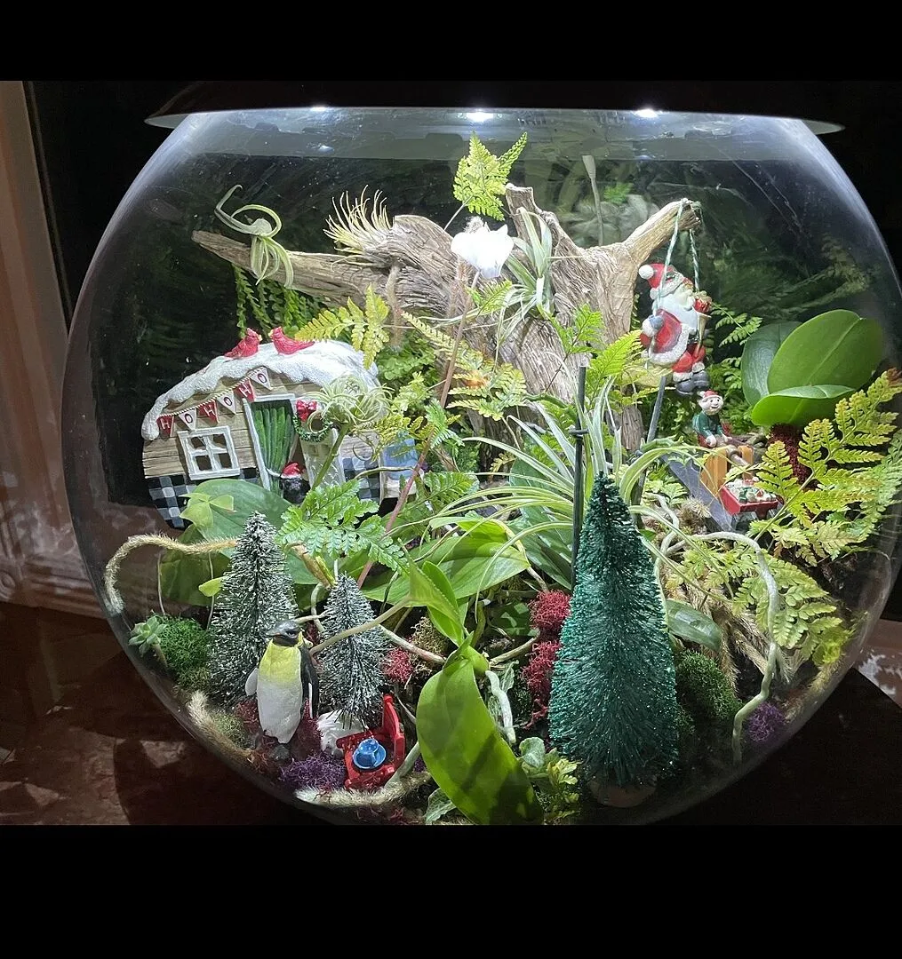 biOrb Air 60 terrarium 60 liter grå automatisk dimma