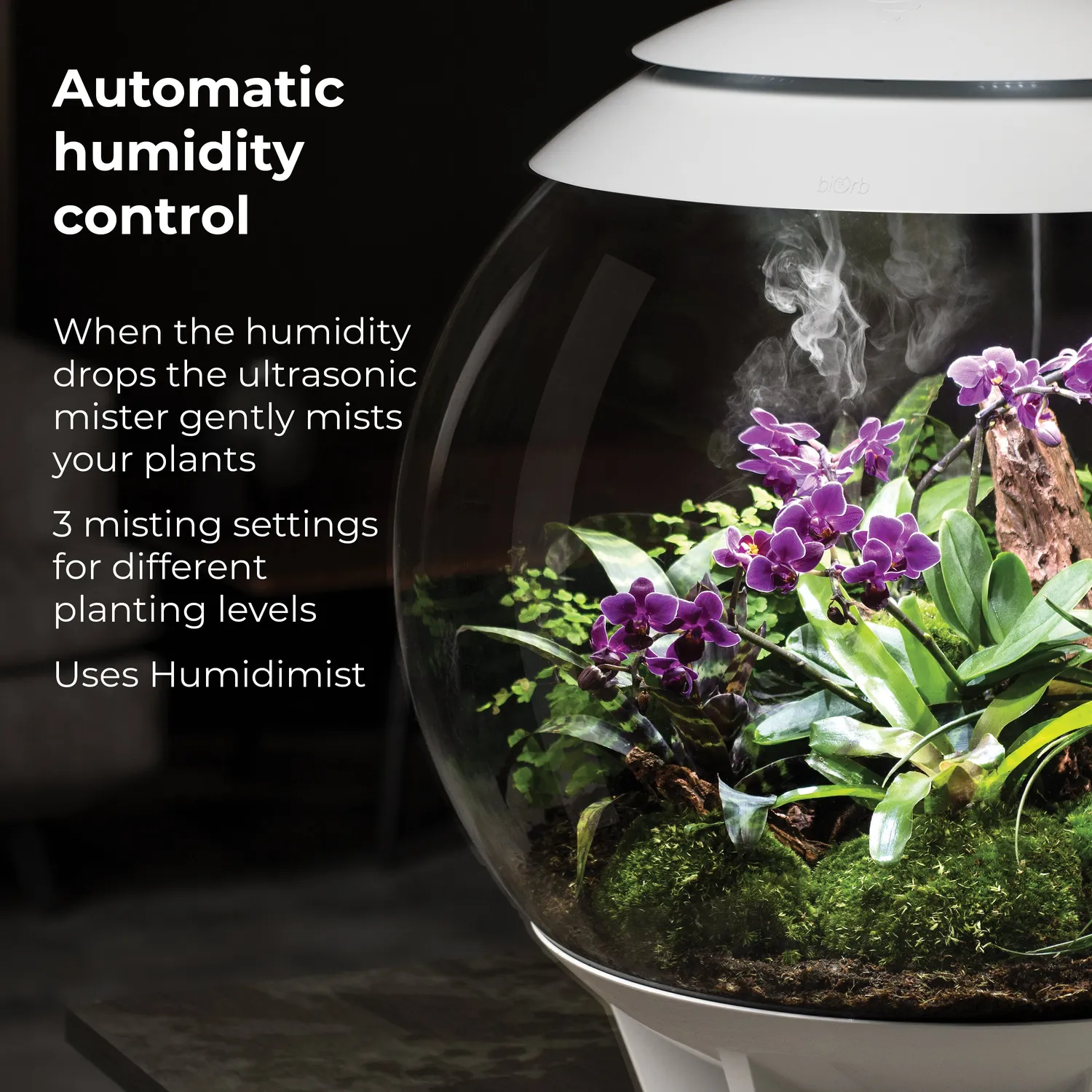 biOrb Air 60 terrarium 60 liter grå automatisk dimma