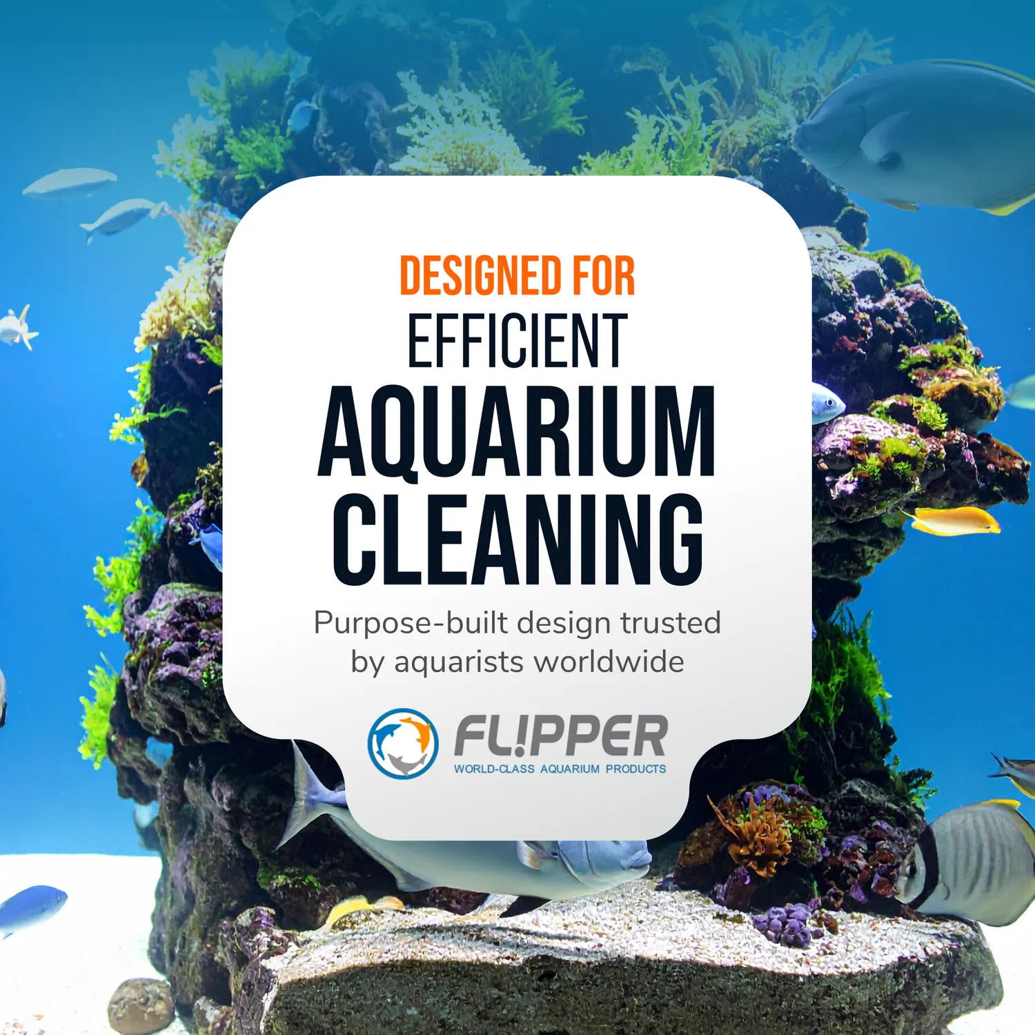 Flipper Platinum Nano algskrapa 30 cm glas akryl
