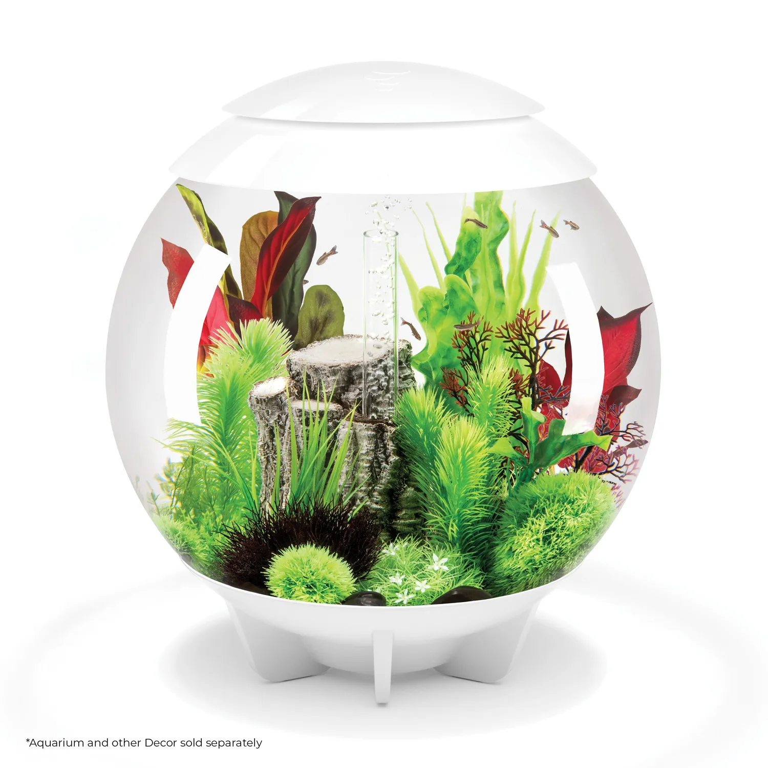 biOrb Large sidenväxter grön röd set 45L