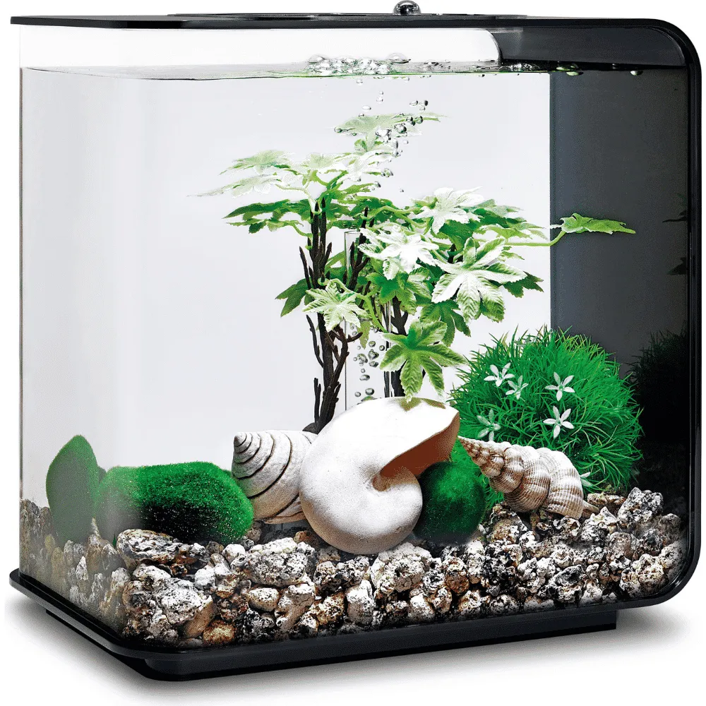 biOrb dekor set 15L sommar akvariedekoration